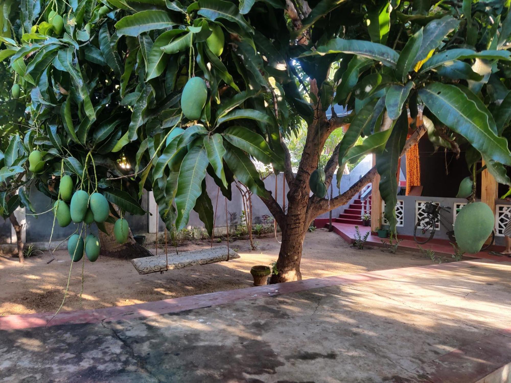 Enoch Guest House Манар Екстериор снимка
